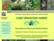 Tablet Screenshot of chiefmountainfarms.com